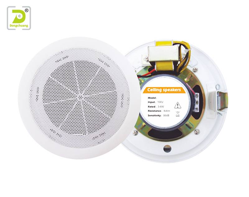 Dongchuang top quality indoor ceiling speakers inquire now for karaoke-2