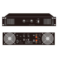 Professional amplifier with Two channel Y-SA300
