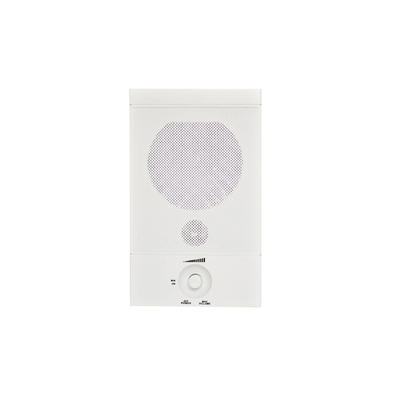 Active 2.4G digital wireless wall-mount speaker  Y-578R
